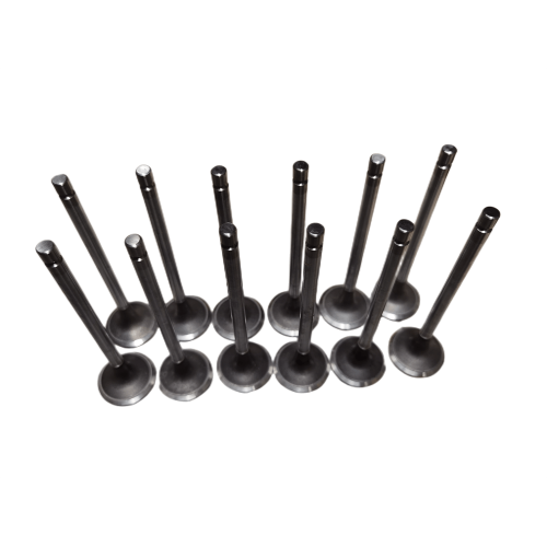 QSL9.3 Cummins Engine intake valves/exhaust valves